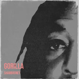 Gorilla by Shambroney