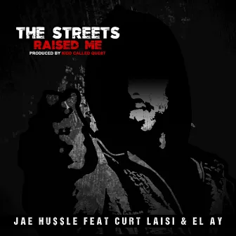 The Streets Raised Me by Jae Hussle