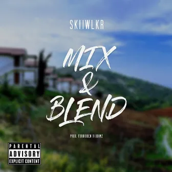 Mix & Blend by Skiiwlkr