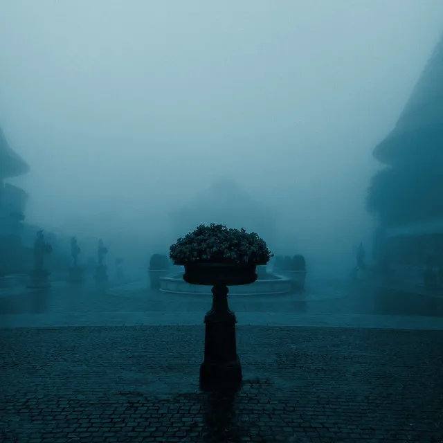 lost in the fog