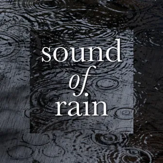 Sound of Rain by The Nature Sound Collector