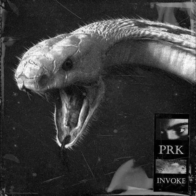 INVOKE (Organik Mix)