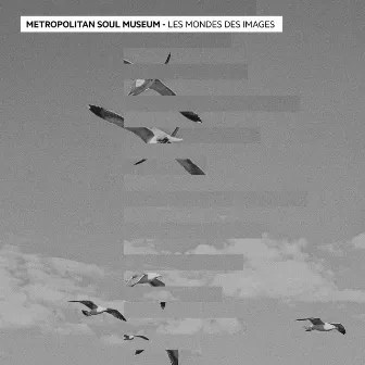 Les Mondes Des Images EP by Metropolitan Soul Museum