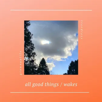 All Good Things / Wakes by Grownuplife