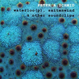 Waterloo(p), Saitenwind & Other Soundclips by Peter A.Schmid