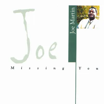 Missing You by Joe Martin