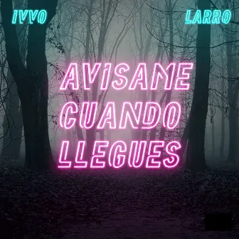 Avisame Cuando Llegues by IVVO