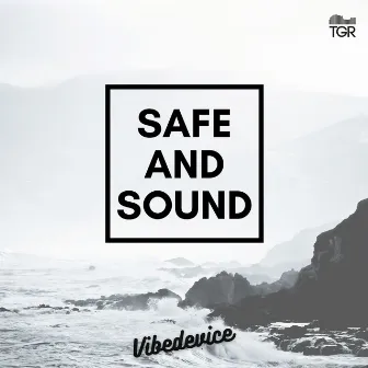 Safe and Sound by VibeDevice