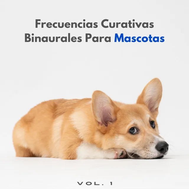 Musicoterapia con mascotas