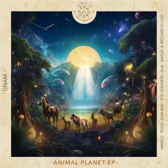 Animal Planet by The Magic Sun