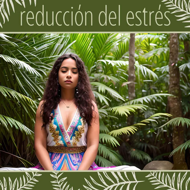 Reducción del Estrés: Música Calma de Meditación Mindfulness, Sonidos Naturales Zen para Meditar y Relajarse