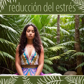 Reducción del Estrés: Música Calma de Meditación Mindfulness, Sonidos Naturales Zen para Meditar y Relajarse by Zen Direction