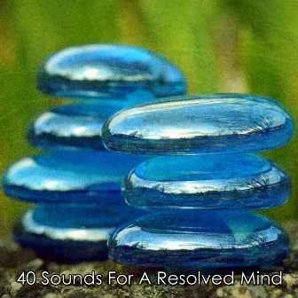 40 Sounds For A Resolved Mind by Meditation Guru