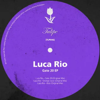 Gate 20 EP by Luca Rio