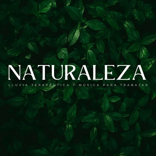 Naturaleza: Lluvia Terapéutica Y Música Para Trabajar