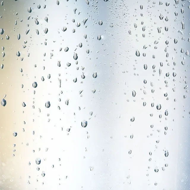 Rain Drops Dancing on the Car Hood