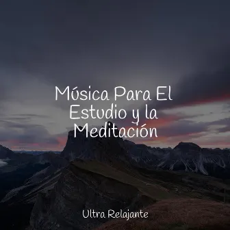 Música Para El Estudio y la Meditación by Musica Relajante & Yoga