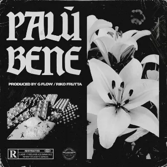 Bene by Palù