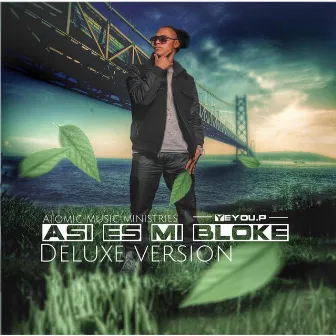 Asi Es Mi Bloke (Deluxe Version) by Yeyou.P