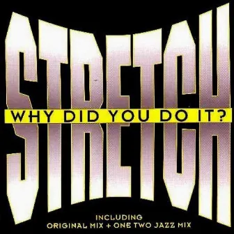 Why Did You Do It by Stretch