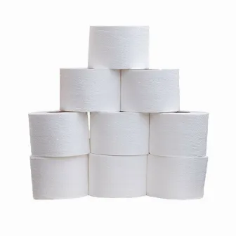 Toilet Roll by TM