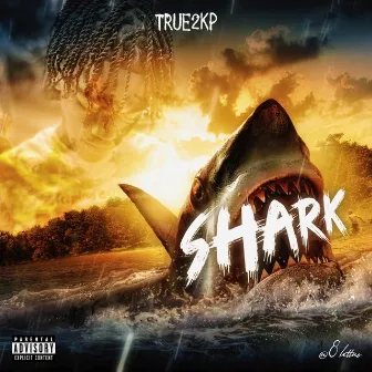 Shark by True2kp