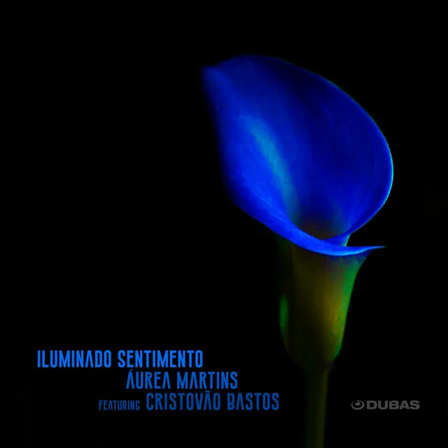 Iluminado Sentimento