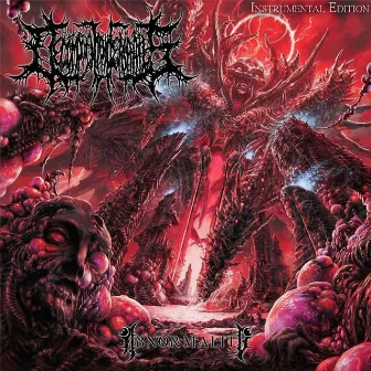 Abnormality (Instrumental Edition) by Decomposition of entrails