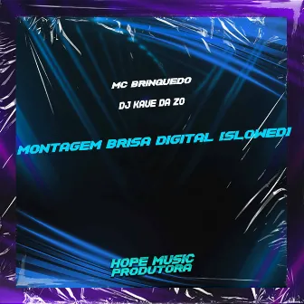 Montagem Brisa Digital (Slowed) by DJ Kaue Da ZO