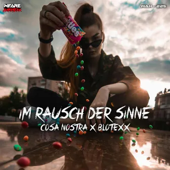 Im Rausch der Sinne by Blotexx