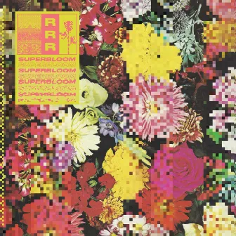 Superbloom by Ra Ra Riot