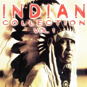 Indian Collection, Vol. 1 by Unknown Artist