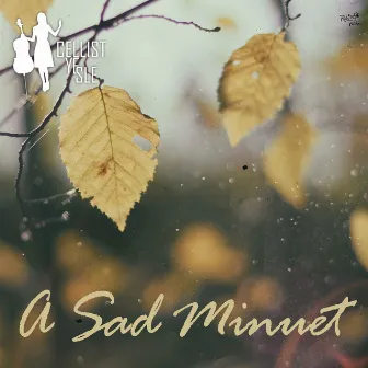 A Sad Minuet by Cellist Yesle