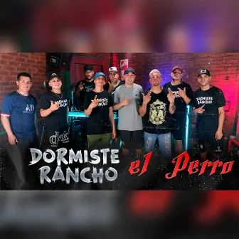 Session Live #1 - El Perro by El Perro