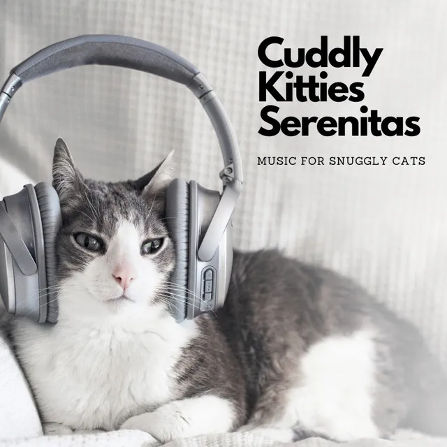 Purrful Hymns of Cozy Moments