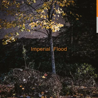 Imperial Flood by Logos