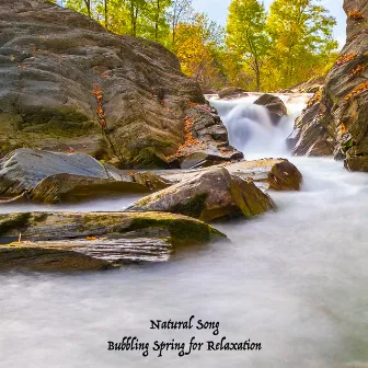 Bubbling Spring for Relaxation by Natural Song