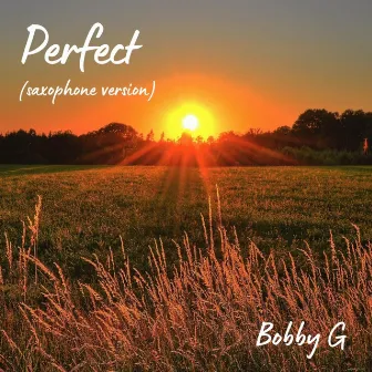 Perfect (Saxophone Version) by Bobby G