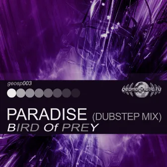 Paradise (Dubstep Mix) by Bird of Prey