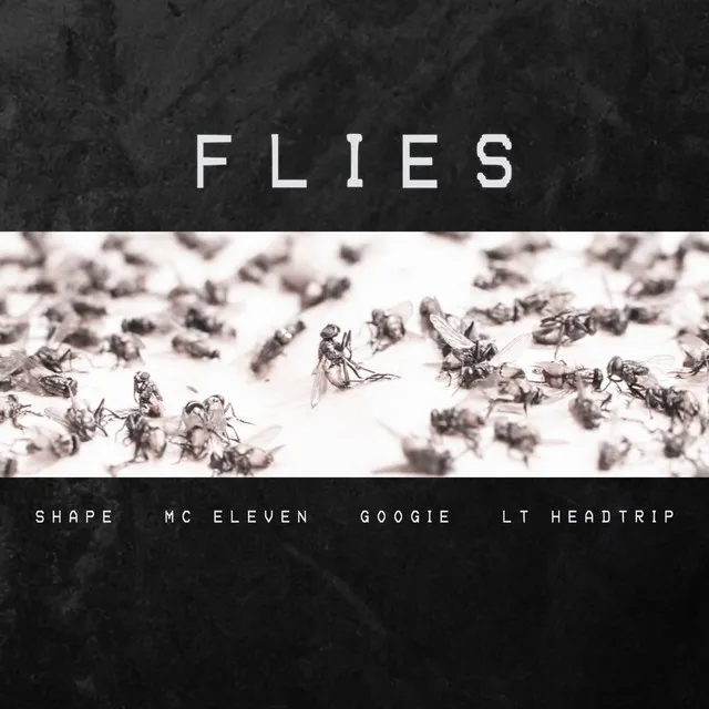 Flies