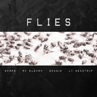 Flies by Shape