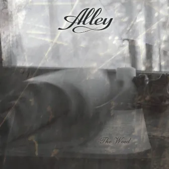 The Weed by Alley