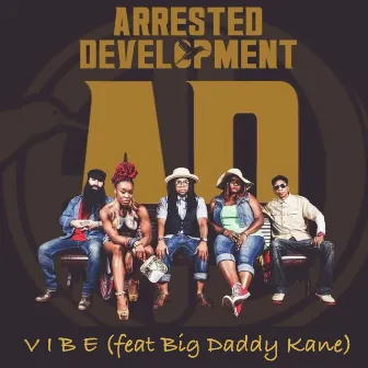 Vibe by Arrested Development