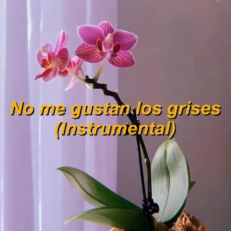 No me gustan los grises (Instrumental) by Mery Granados