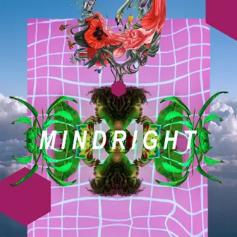 Mindright by Rae Rosero