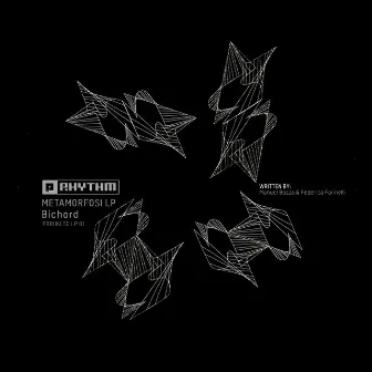 Metamorfosi LP by Bichord