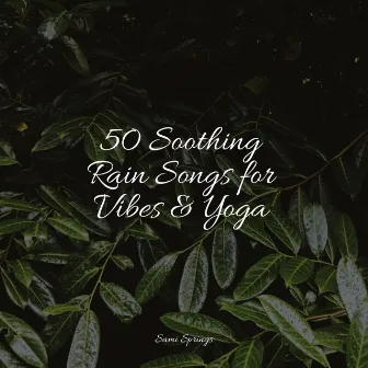 50 Soothing Rain Songs for Vibes & Yoga by Life Sounds Nature