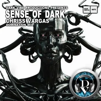 Sense of Dark (Domination Mix) by Chriss Vargas