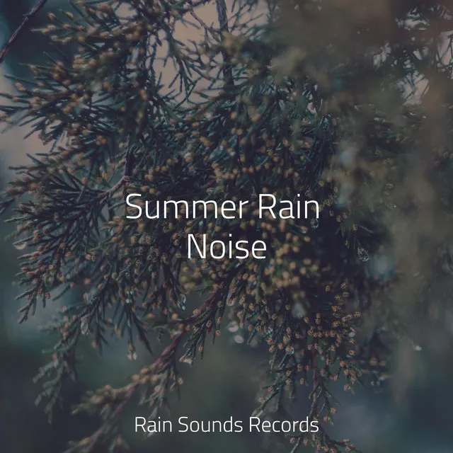 Summer Rain Noise