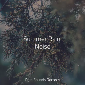 Summer Rain Noise by Deep Sleep Relaxation